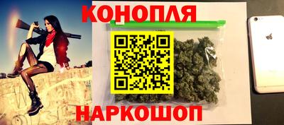 СК Бийск