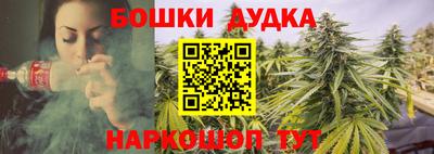 СК Бийск