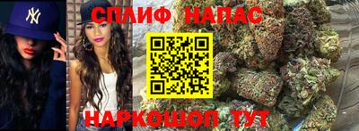 шишки Беслан