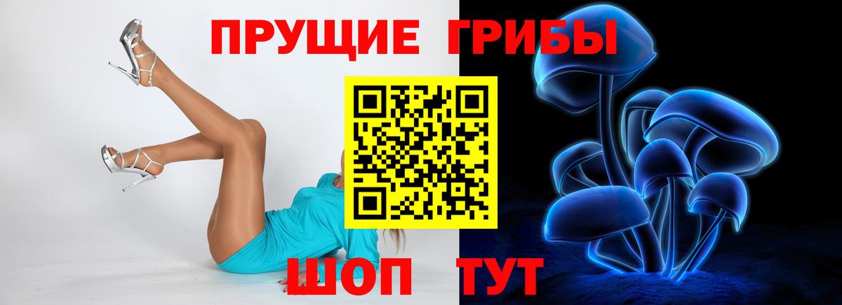 Галлюциногенные грибы MAGIC MUSHROOMS Горно-Алтайск